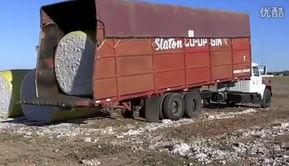 原神最新卡车爆料,神秘角色登场,探索未知领域